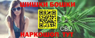 apvp Камышлов