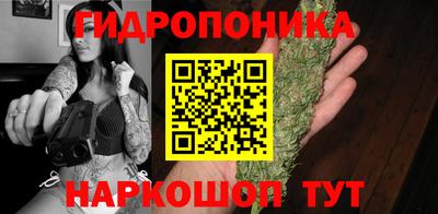 apvp Камышлов