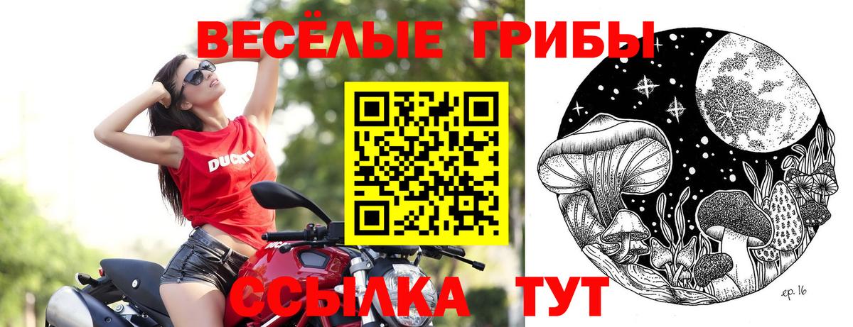 Галлюциногенные грибы ЛСД Михайловск